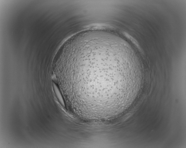 X0000082141473200702162130