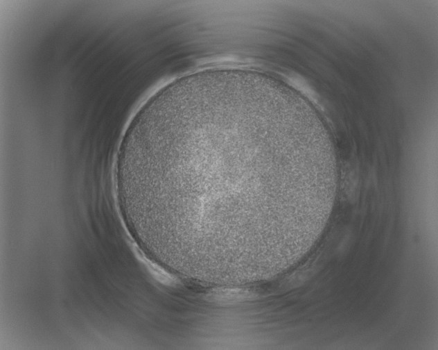 X0000082141474200702162130