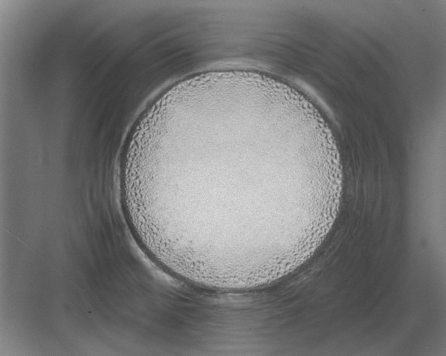 X0000082141476200702162130