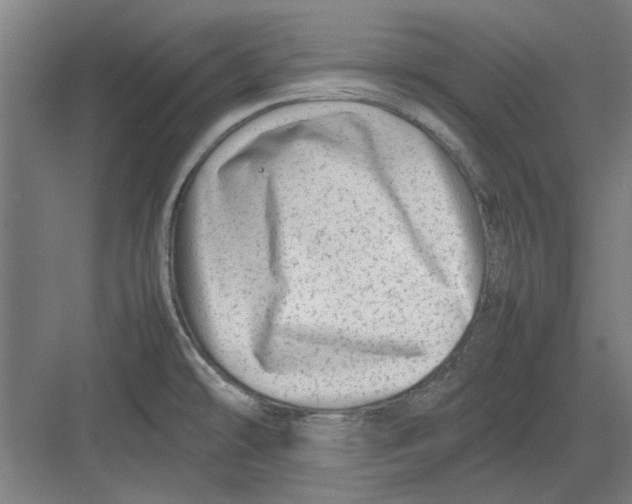 X0000082141478200702162130