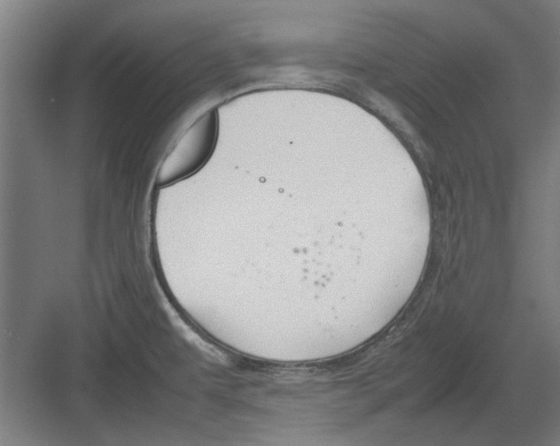 X0000082141479200702162130