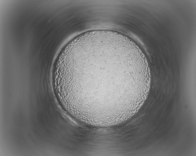 X0000082141480200702162130