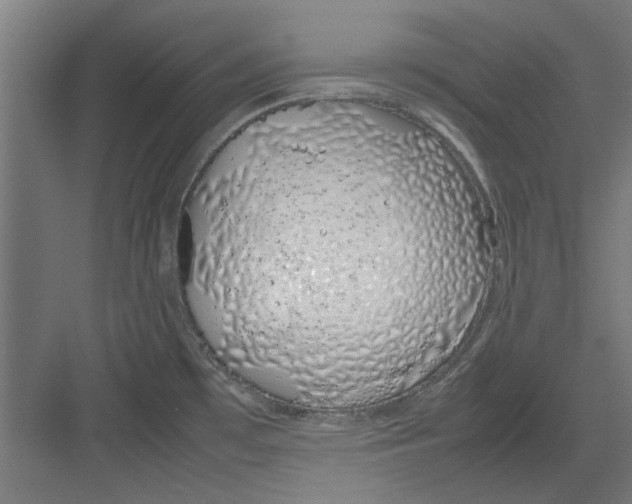 X0000082141481200702162130