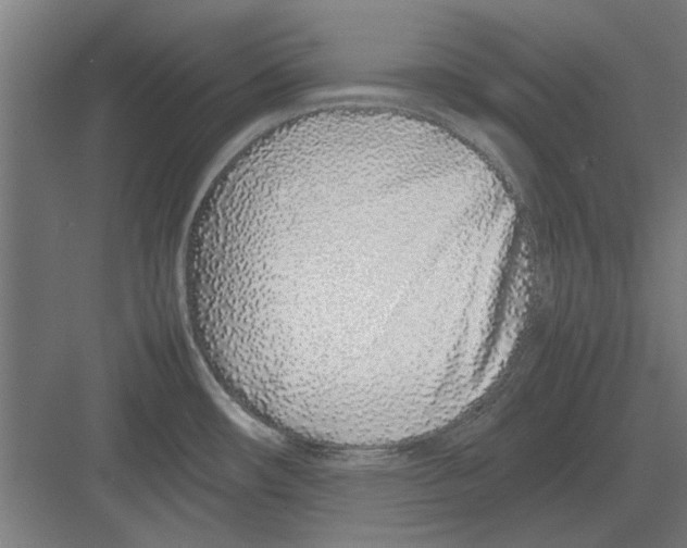 X0000082141482200702162130