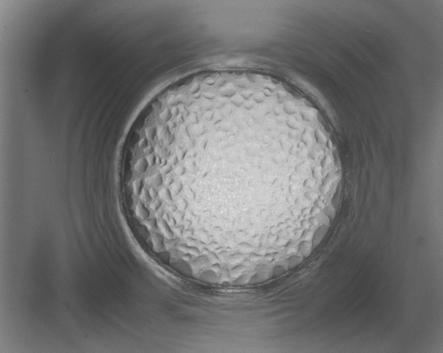 X0000082141483200702162130