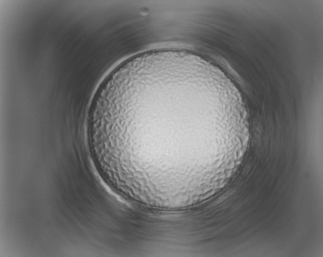 X0000082141484200702162130