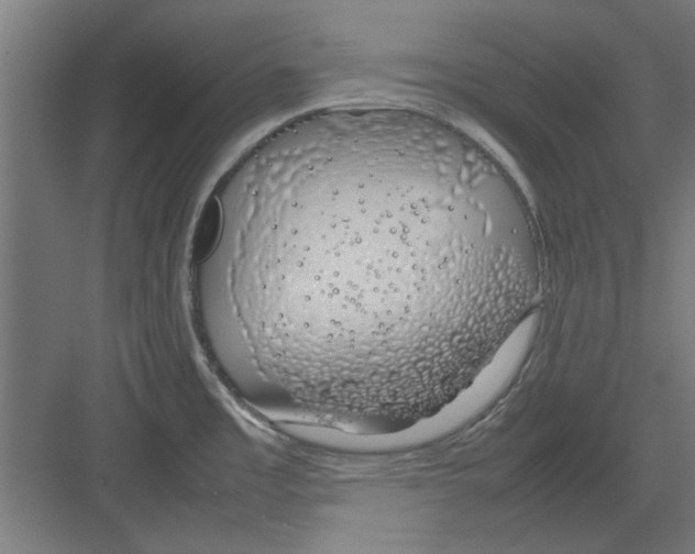 X0000082141485200702162130