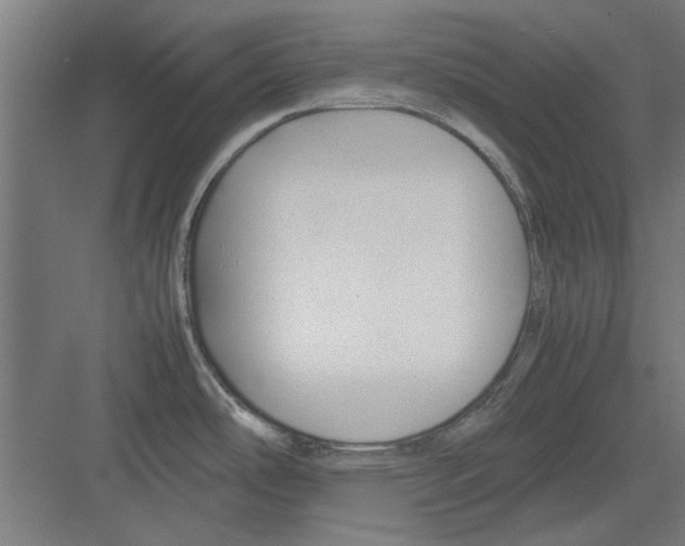 X0000082141486200702162130