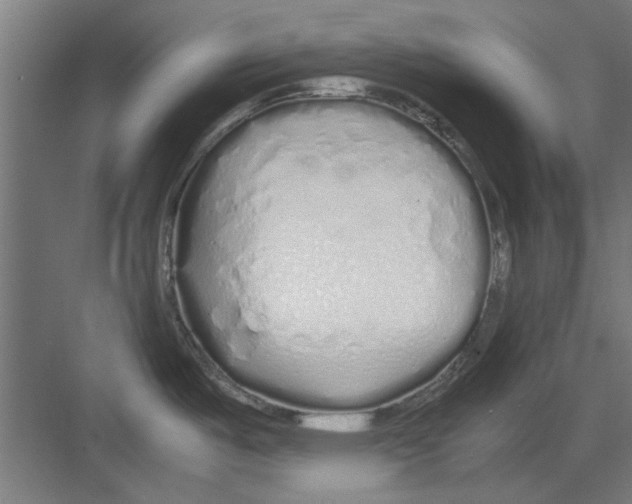 X0000082141487200702162130