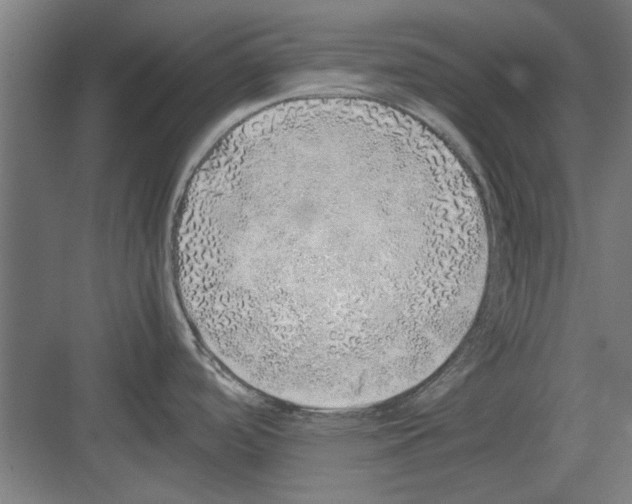 X0000082141488200702162130