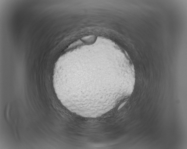 X0000082141489200702162129