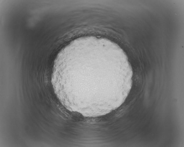 X0000082141490200702162129