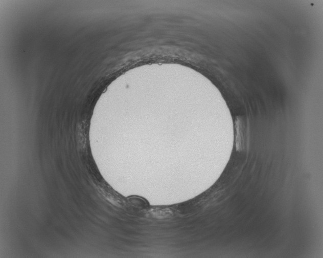 X0000082141491200702162129