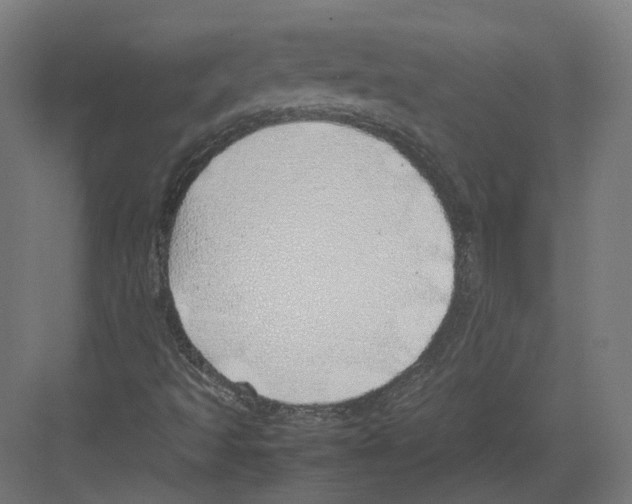 X0000082141493200702162129