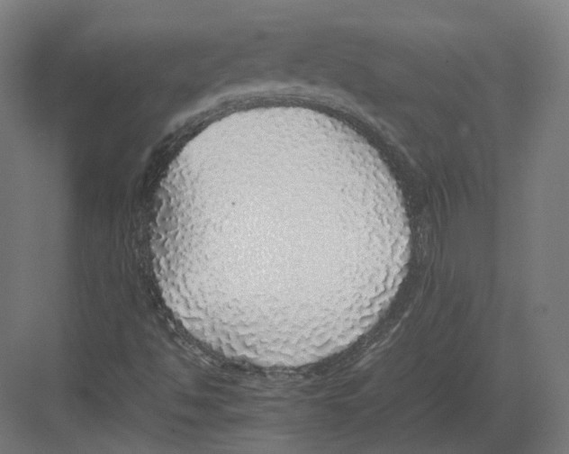 X0000082141494200702162129