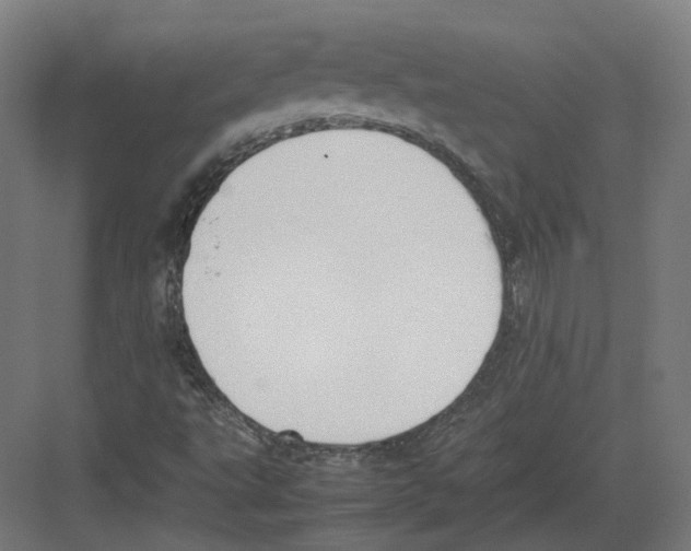 X0000082141495200702162129