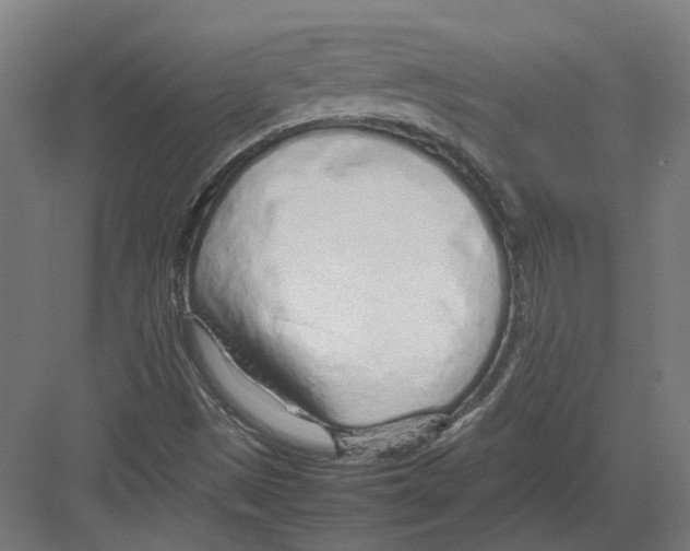 X0000082141497200702162129