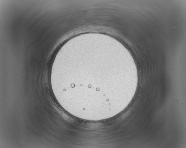 X0000082141498200702162129