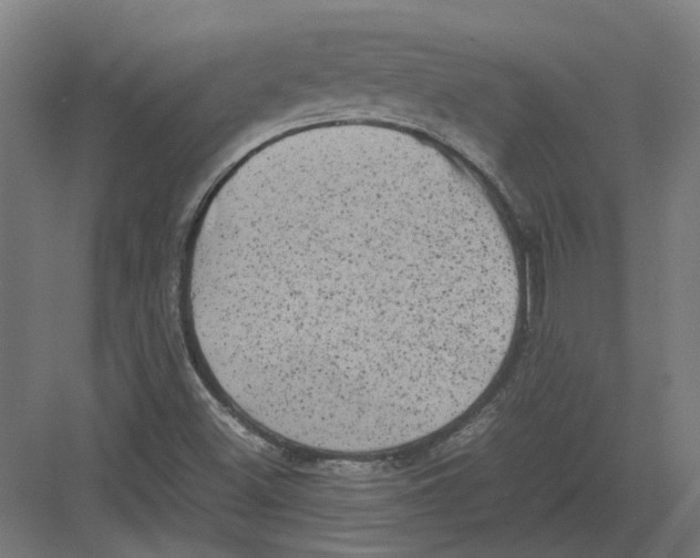 X0000082141500200702162129