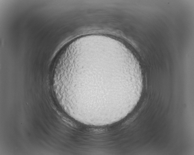 X0000082141501200702162129