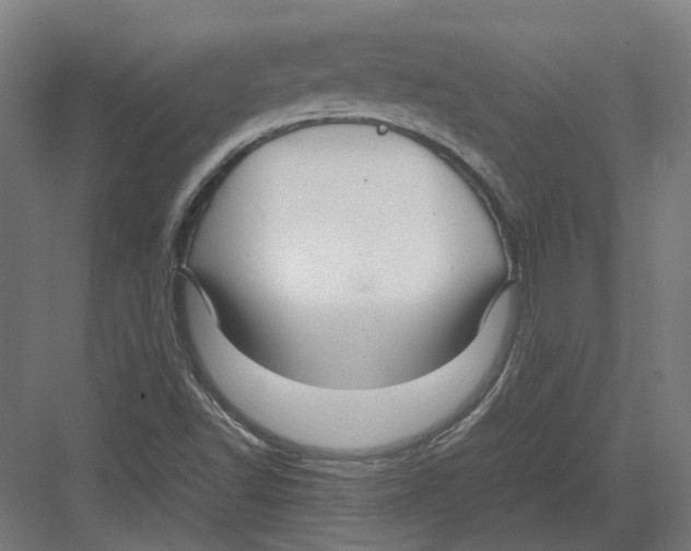 X0000082141502200702162129