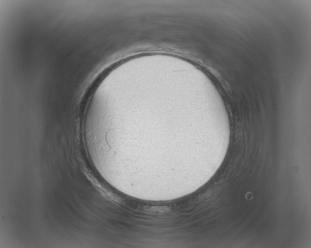 X0000082141503200702162129