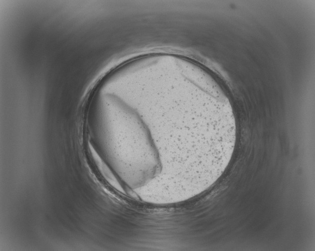 X0000082141504200702162129