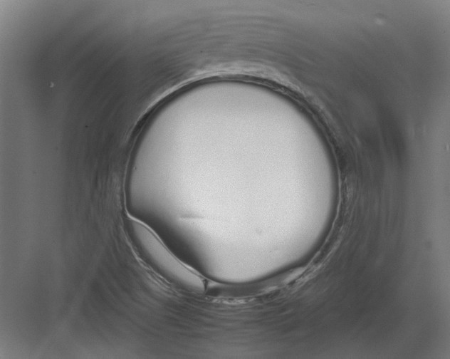 X0000082141505200702162129