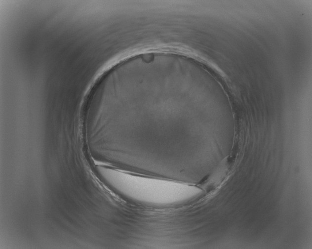 X0000082141506200702162129