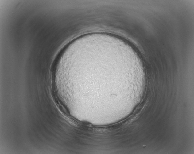 X0000082141509200702162129