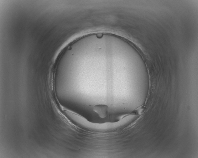 X0000082141510200702162129