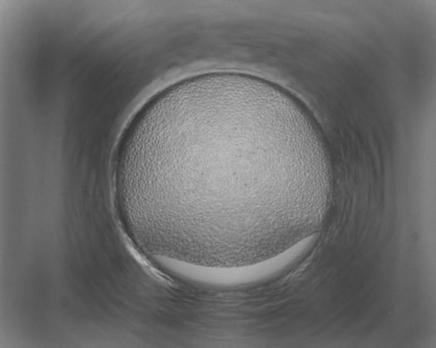 X0000082141511200702162129