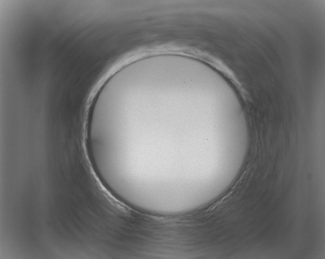 X0000082141512200702162129