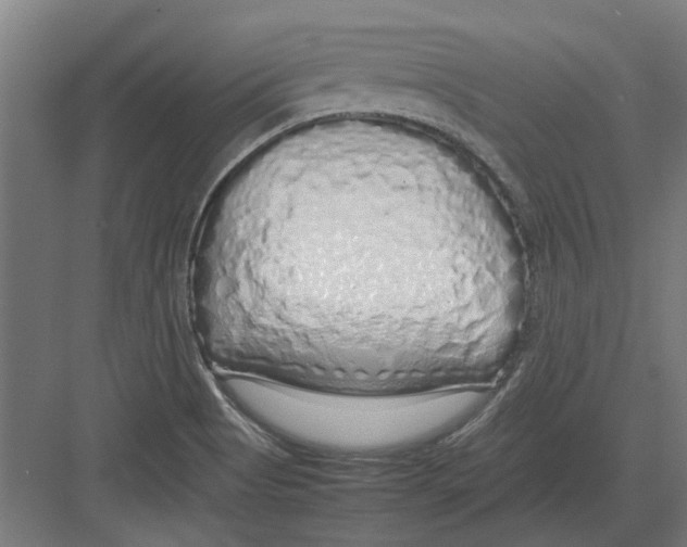 X0000082141513200702162129