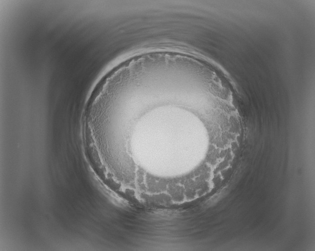 X0000082141514200702162129