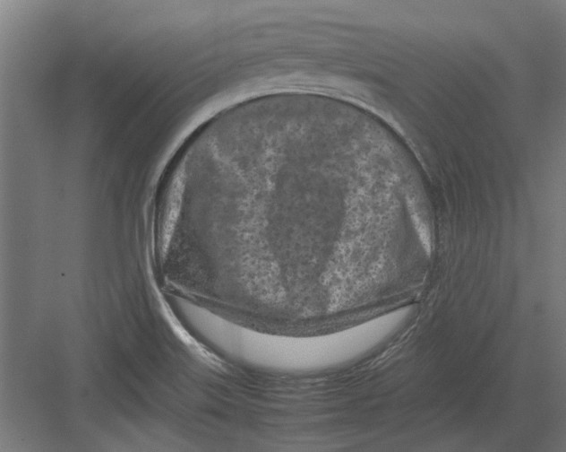 X0000082141515200702162129