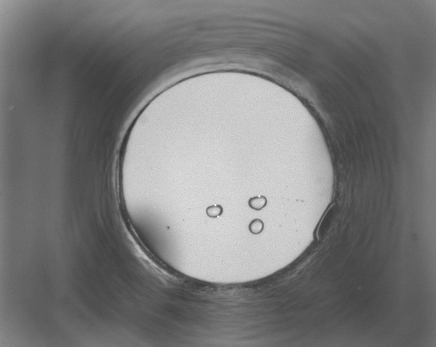 X0000082141516200702162129