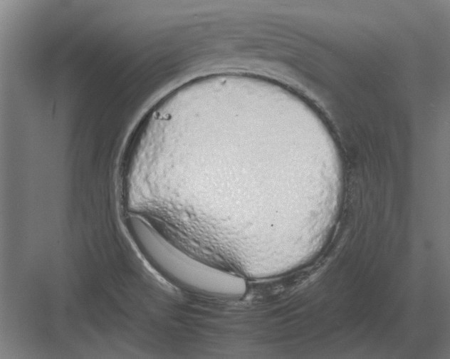 X0000082141517200702162129