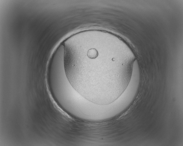 X0000082141518200702162129