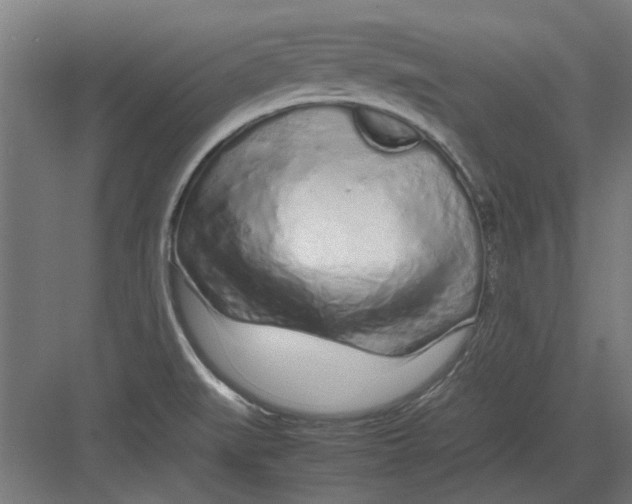 X0000082141519200702162129