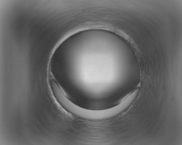 X0000082141520200702162129