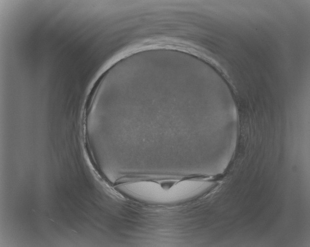 X0000082141522200702162129