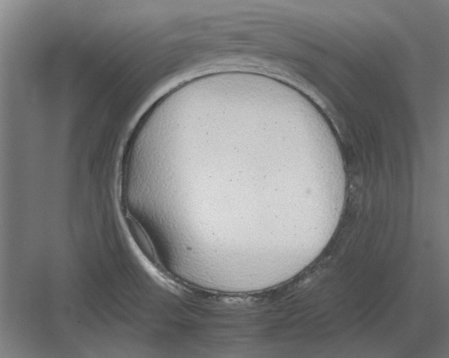 X0000082141523200702162129