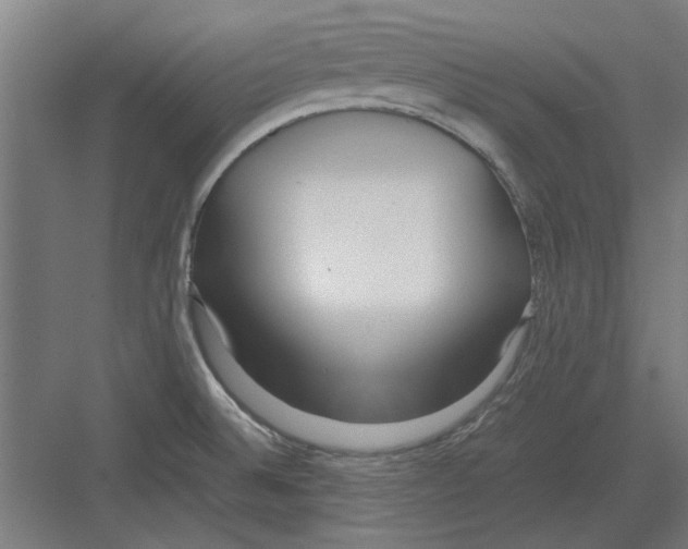 X0000082141524200702162129