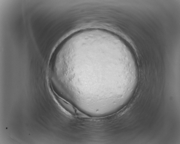 X0000082141525200702162129