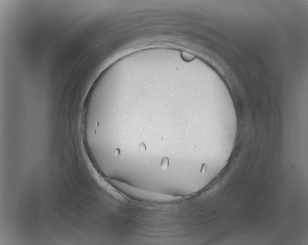 X0000082141526200702162129