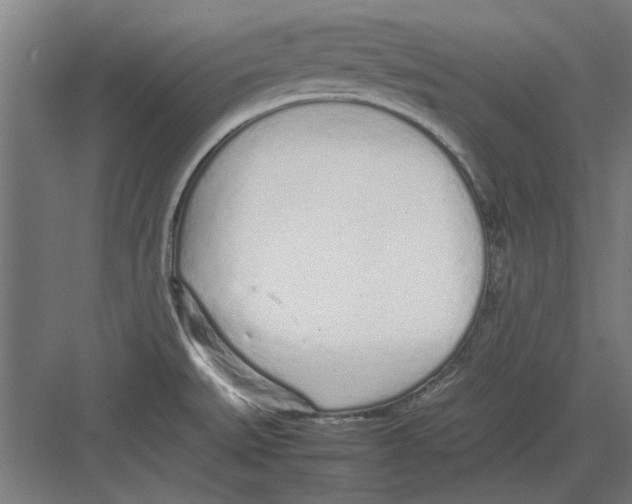 X0000082141527200702162129