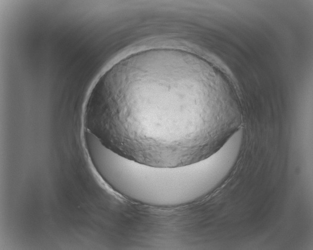 X0000082141528200702162129