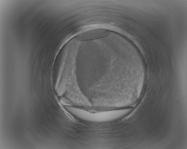 X0000082141529200702162129