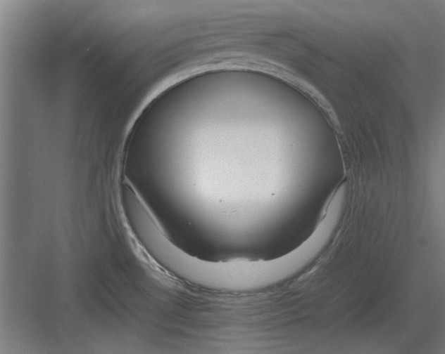 X0000082141530200702162130